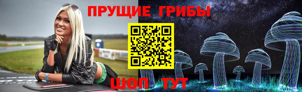 Галлюциногенные грибы прущие грибы Камень-на-Оби