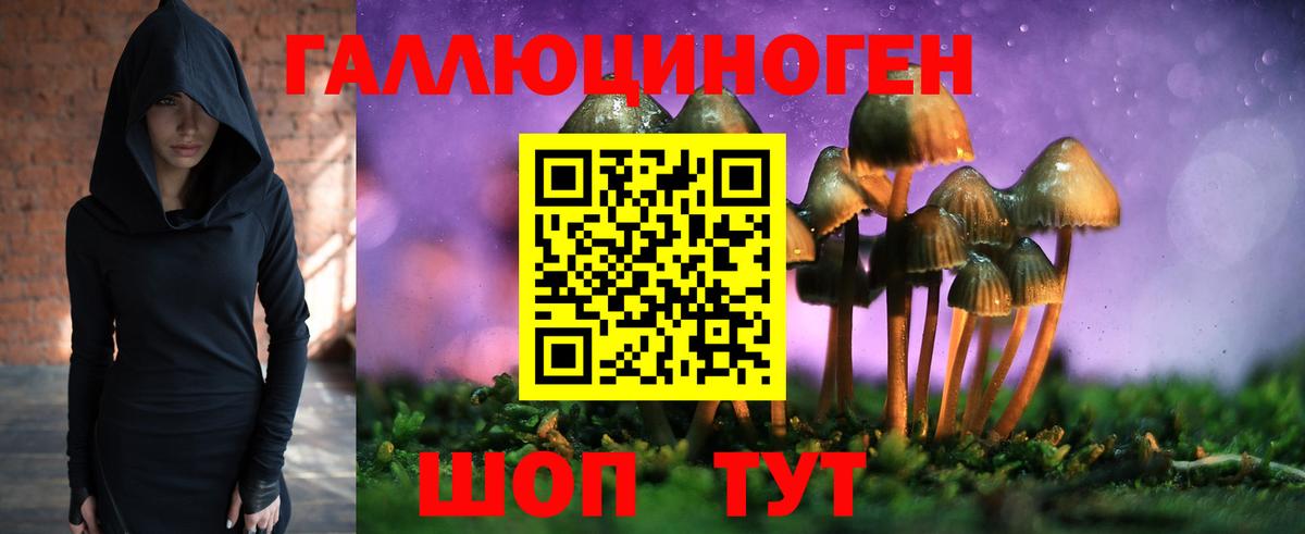 Псилоцибиновые грибы GOLDEN TEACHER  Вход с VPN  Галлюциногенные грибы мицелий  Камень-на-Оби 